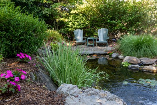 Koi Pond Construction